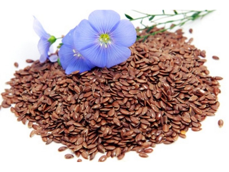 Linseed or flax Plant - Herbal Remedies for Arthritis Pain and Swelling